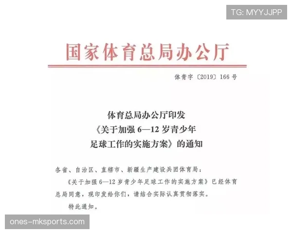 青少年足球规则中关于犯规判罚与比赛流程的特别规定解析 青少年足球规则中关于犯规判罚与比赛流程的特别规定解析